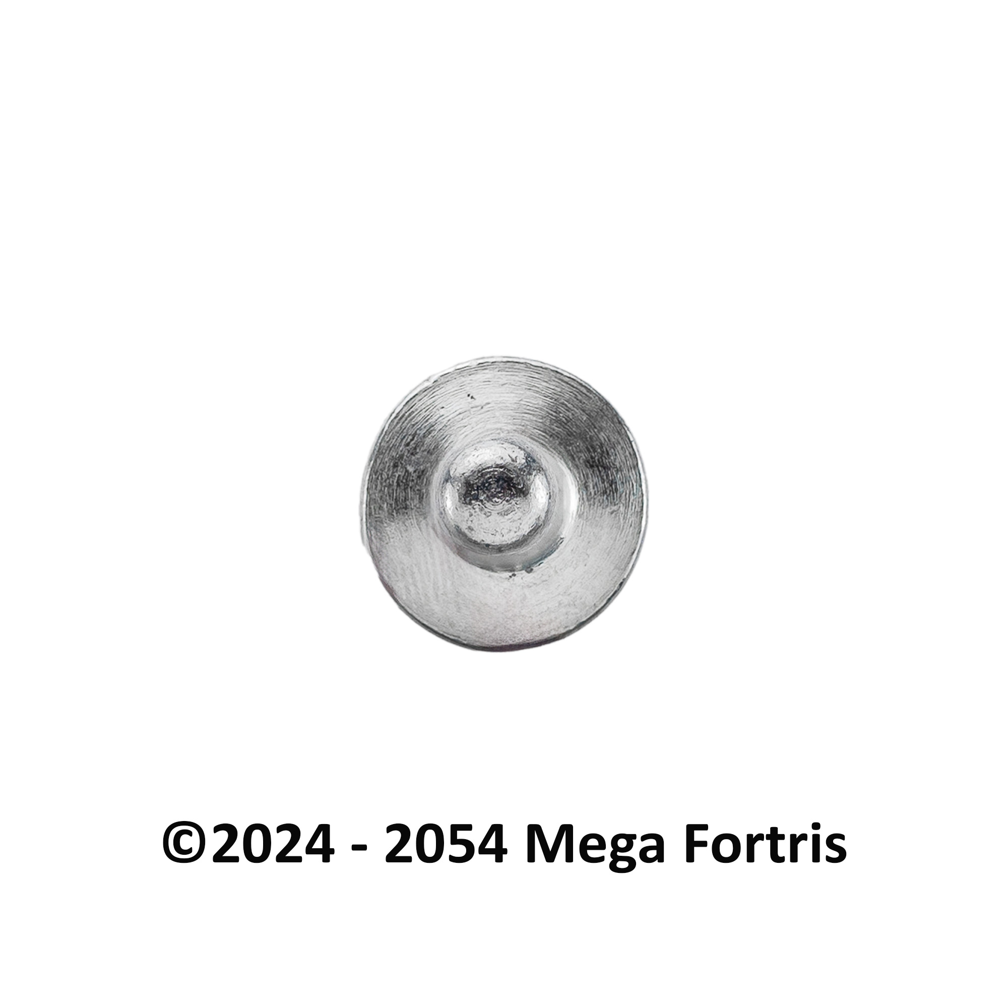 Container Bolt Lock (CBL) - Image 4