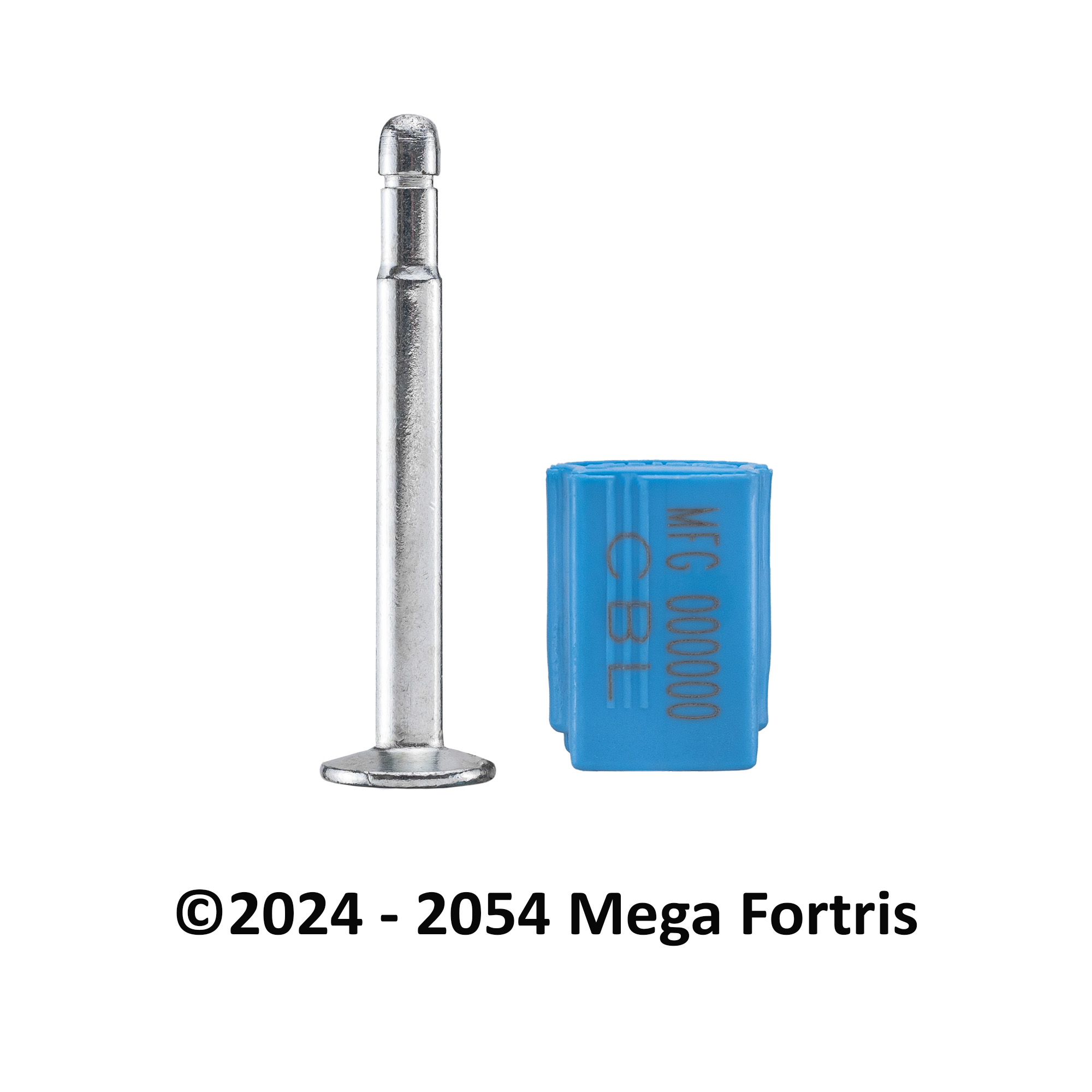 Container Bolt Lock (CBL) - Image 15