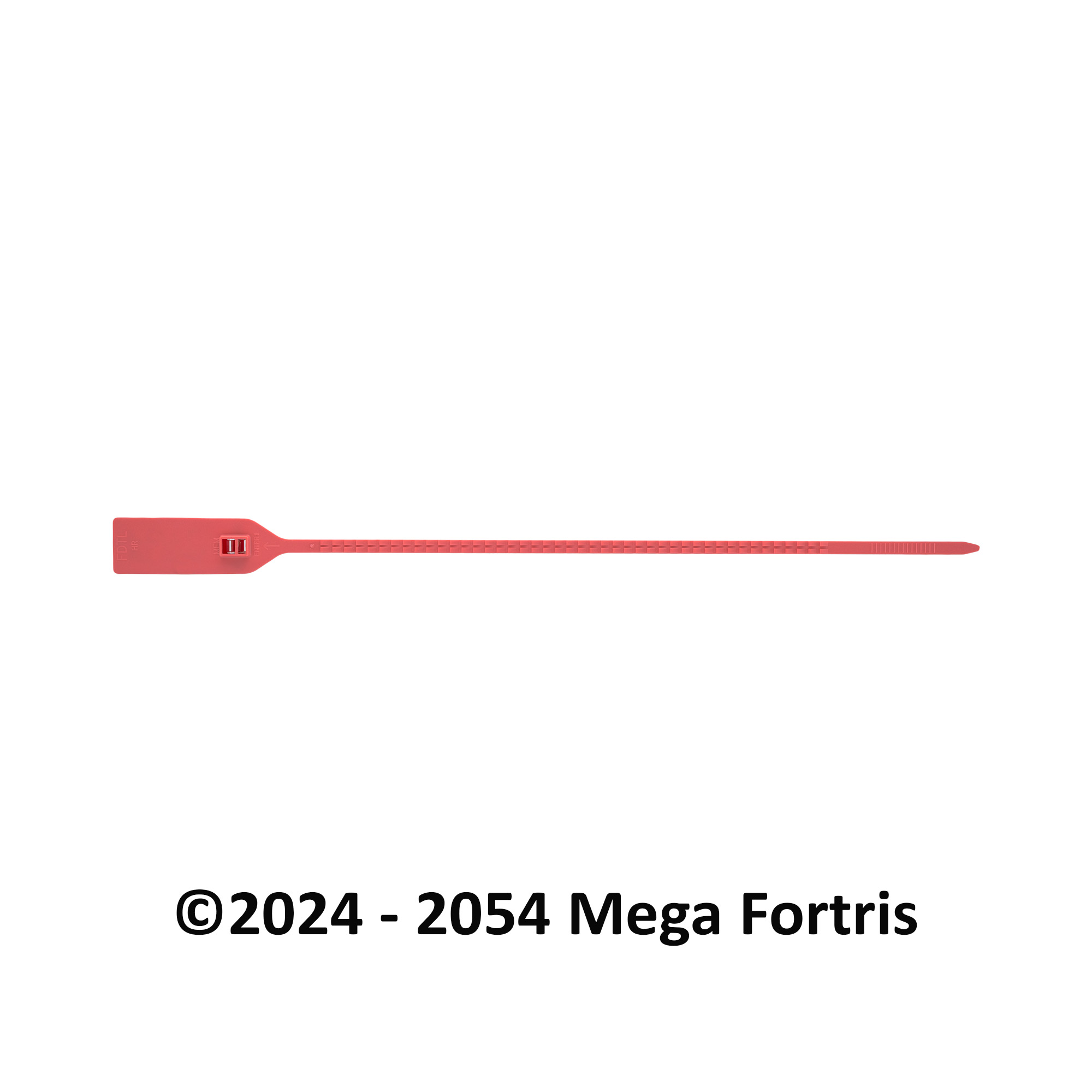 Fort Double Twin Lock NTO (FDTL NTO) - Image 2