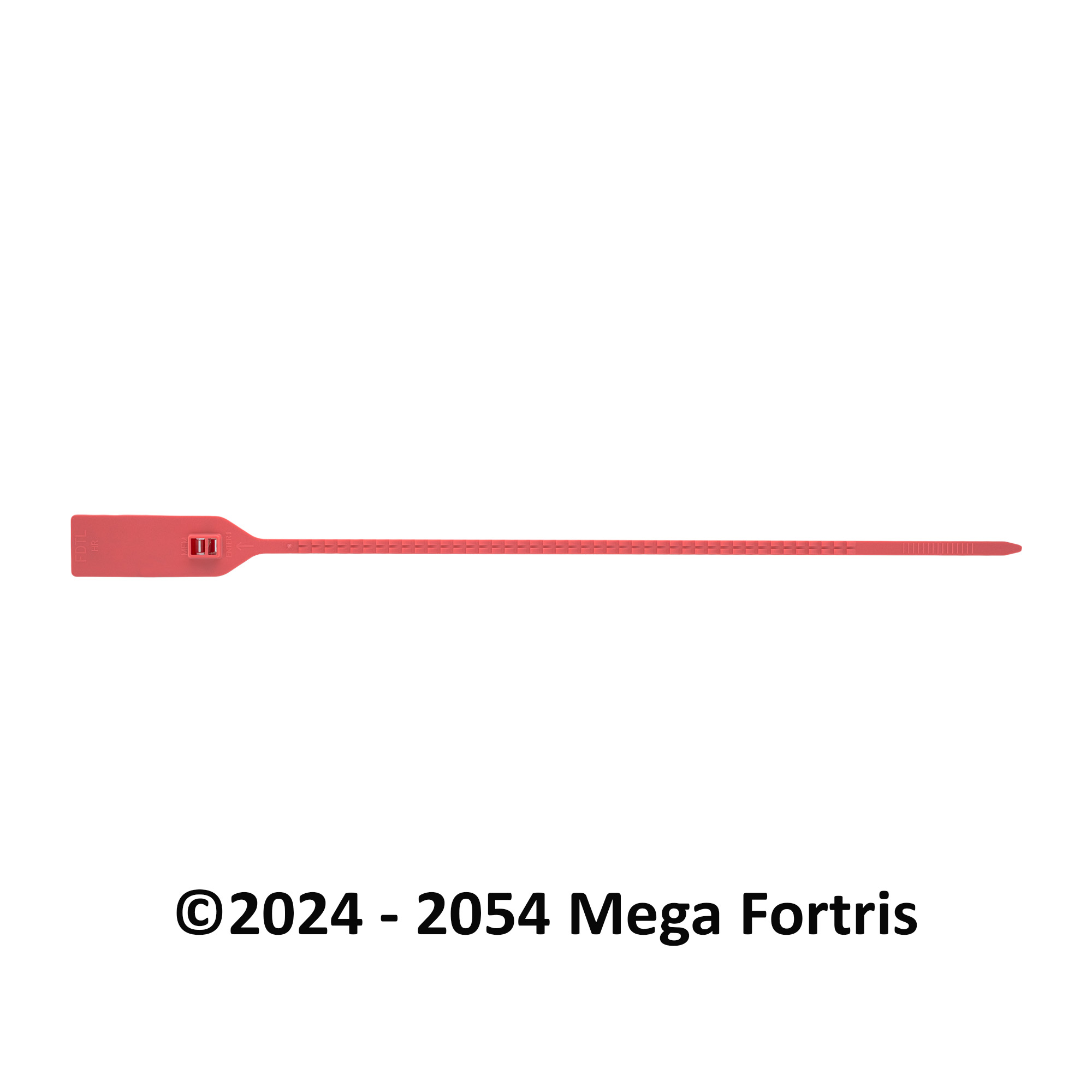 Fort Double Twin Lock NTO (FDTL NTO) - Image 10