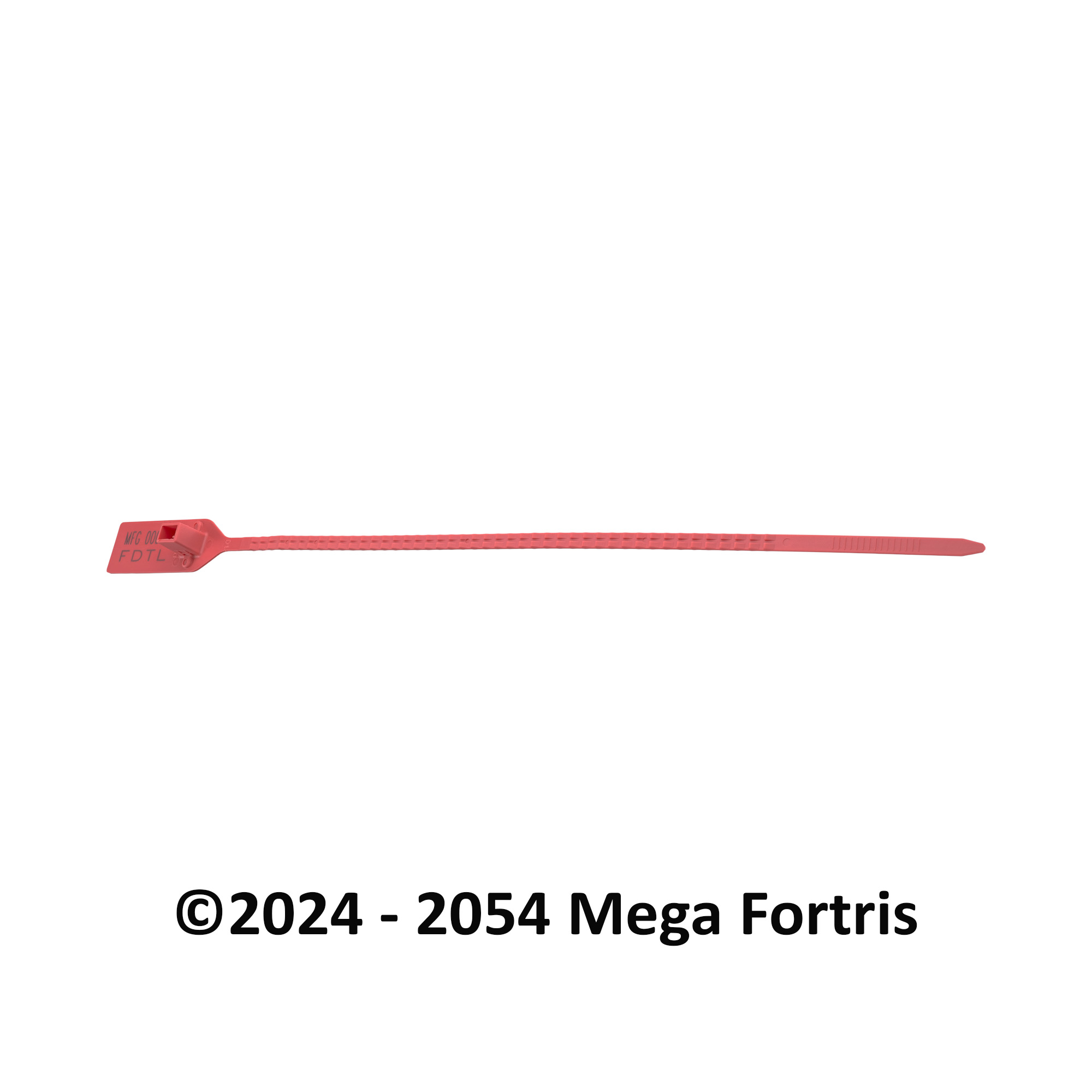Fort Double Twin Lock NTO (FDTL NTO) - Image 6