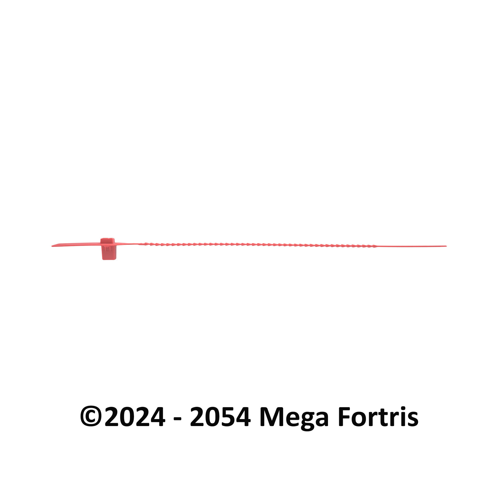 Fort Double Twin Lock NTO (FDTL NTO) - Image 3