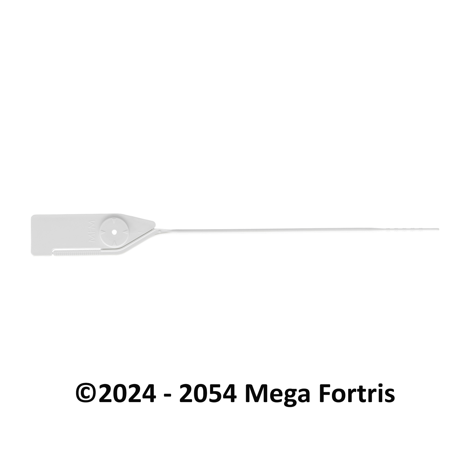 Fast Seal, Indicative Seals, Pull Tight Seals, Tagging, Retail, Logistics, Banking