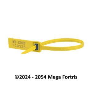 Fort Cash Bag Seal